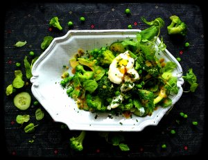 Photo by Madalina Becker